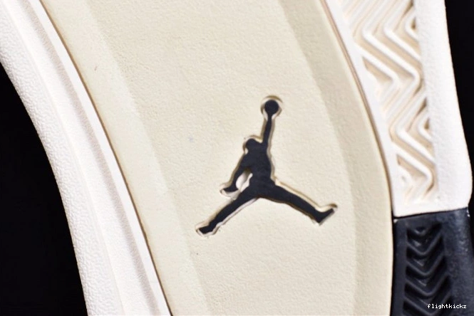 Air Jordan AQ9129-200 4 Mushroom 0809